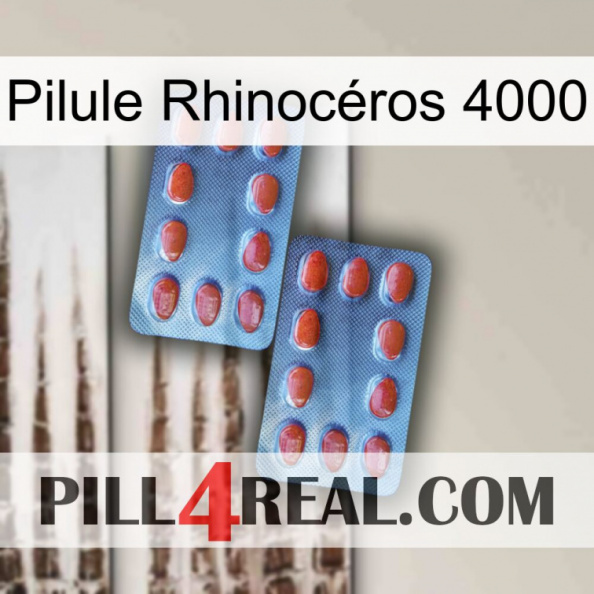 Pilule Rhinocéros 4000 05
